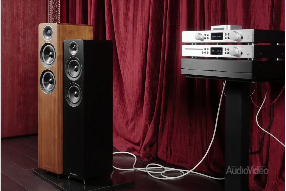 AE309
