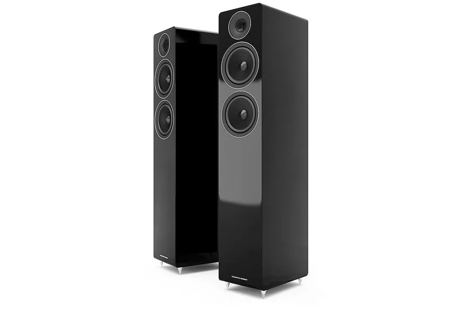 AE309