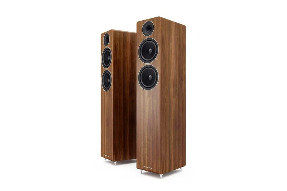 AE309
