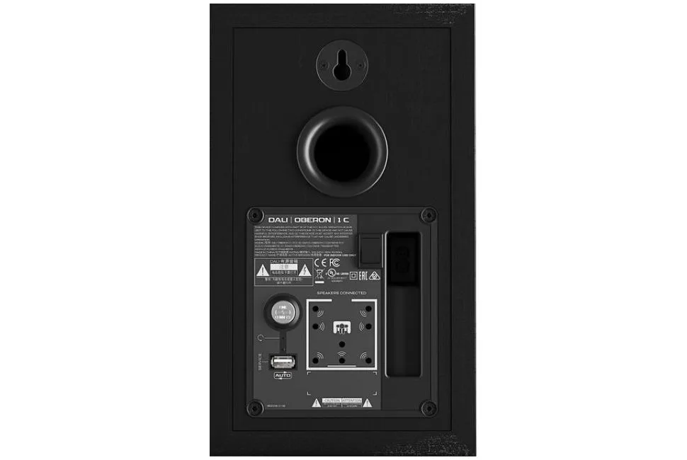Oberon 1C + SoundHub