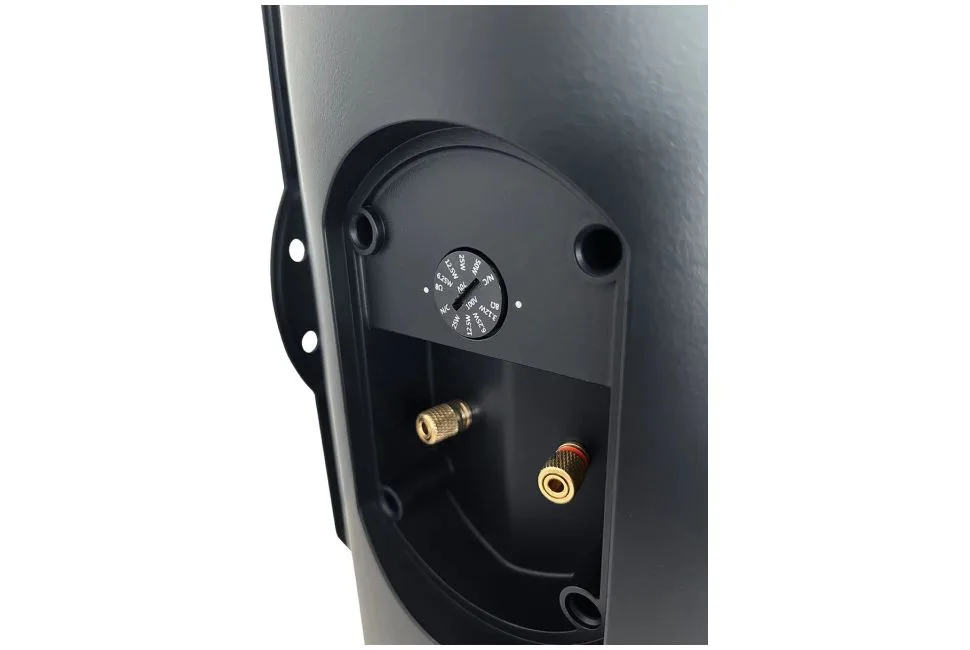 RAIN 8 100V
