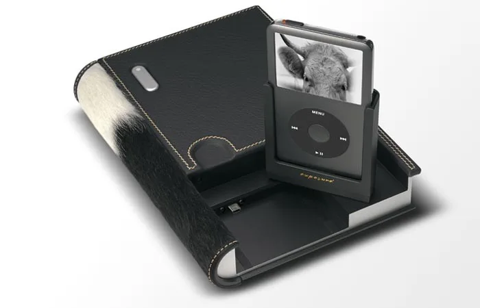 Emetteur/Transmetteur pour iPod