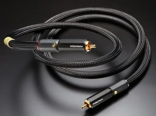 Evolution II Digital RCA