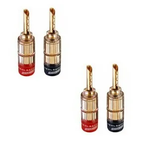 3021 Pack 4x fiches bananes BFA