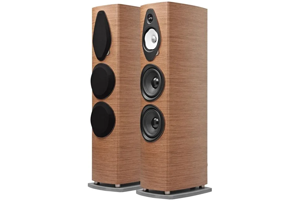 Sonetto VIII G2