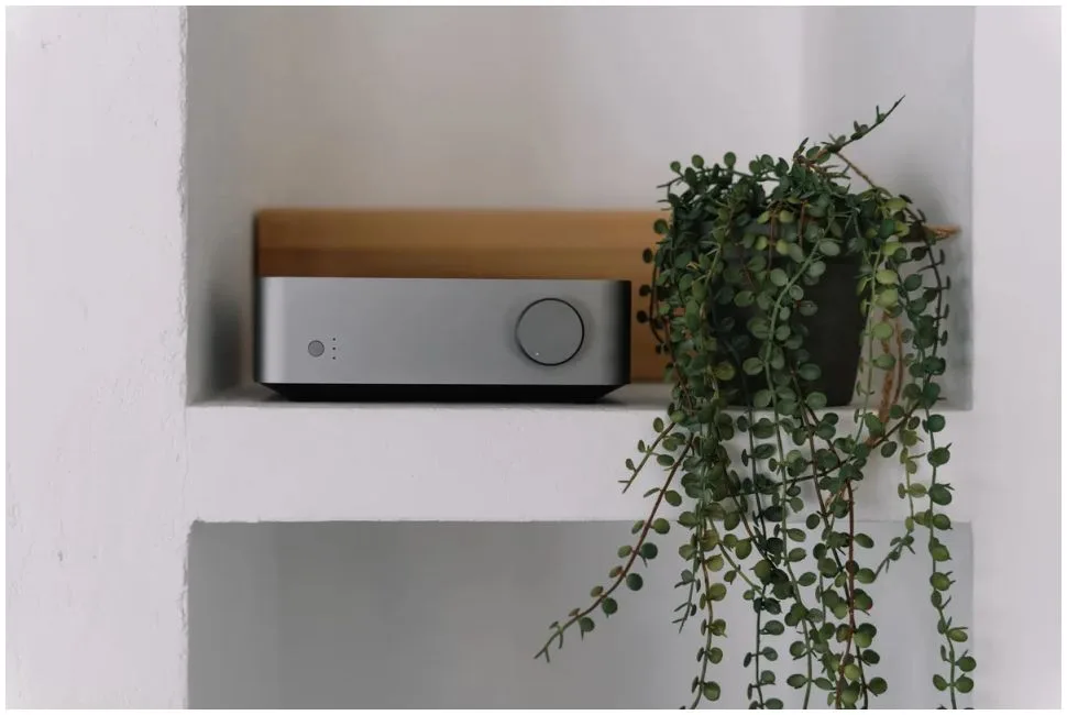 Vibelink Amp