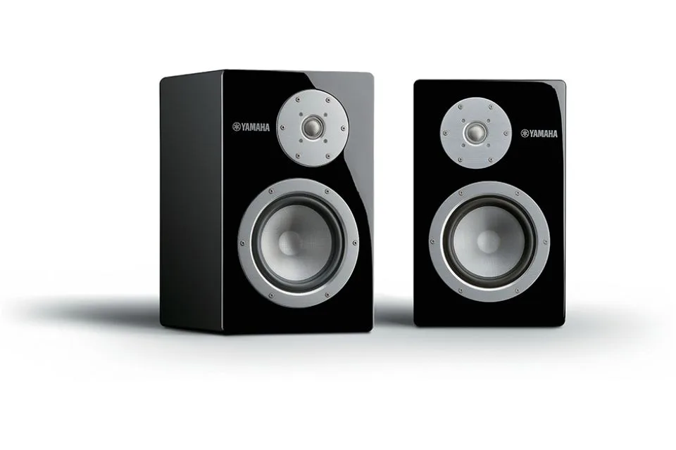 NS-3000