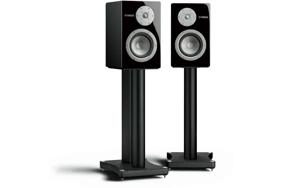 NS-3000
