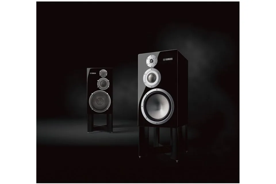 NS-5000